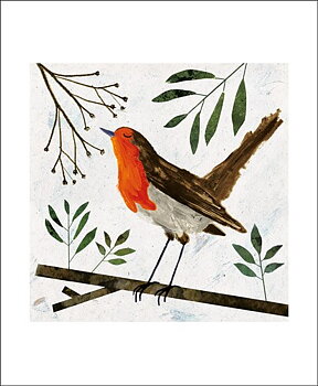 Robin, Greeting Card