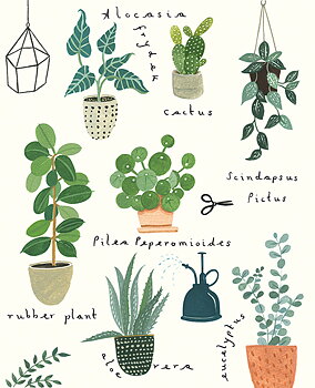 Houseplants, Everyday Single Card