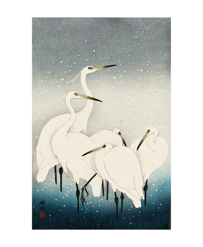 NC O.Koson/Herons in The Snow