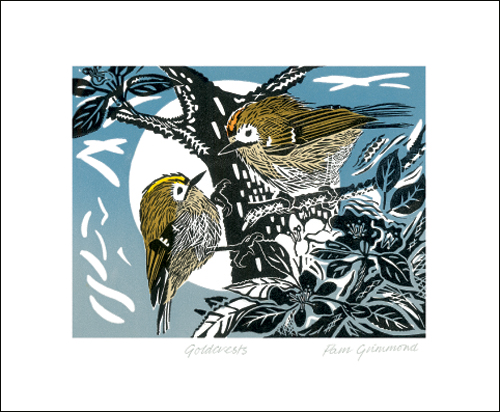 NC P.Grimmond/Gold Crests