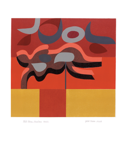 NC P.Green/Red Form Shadow No2