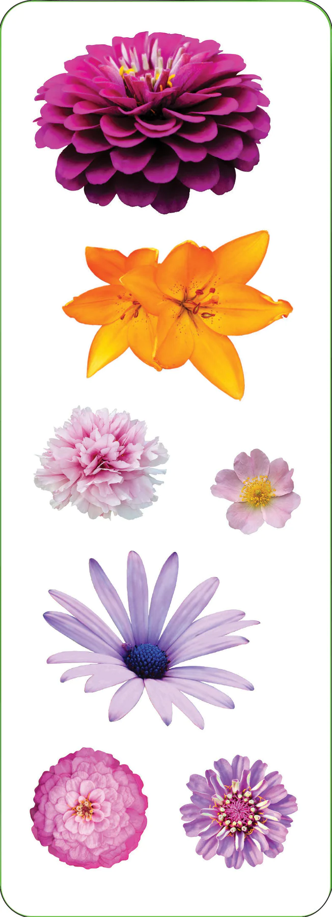 Sticker Set Flowers - 4