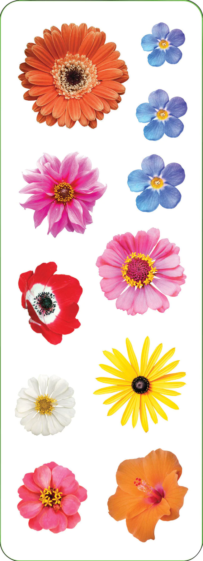 Sticker Set Flowers - 6