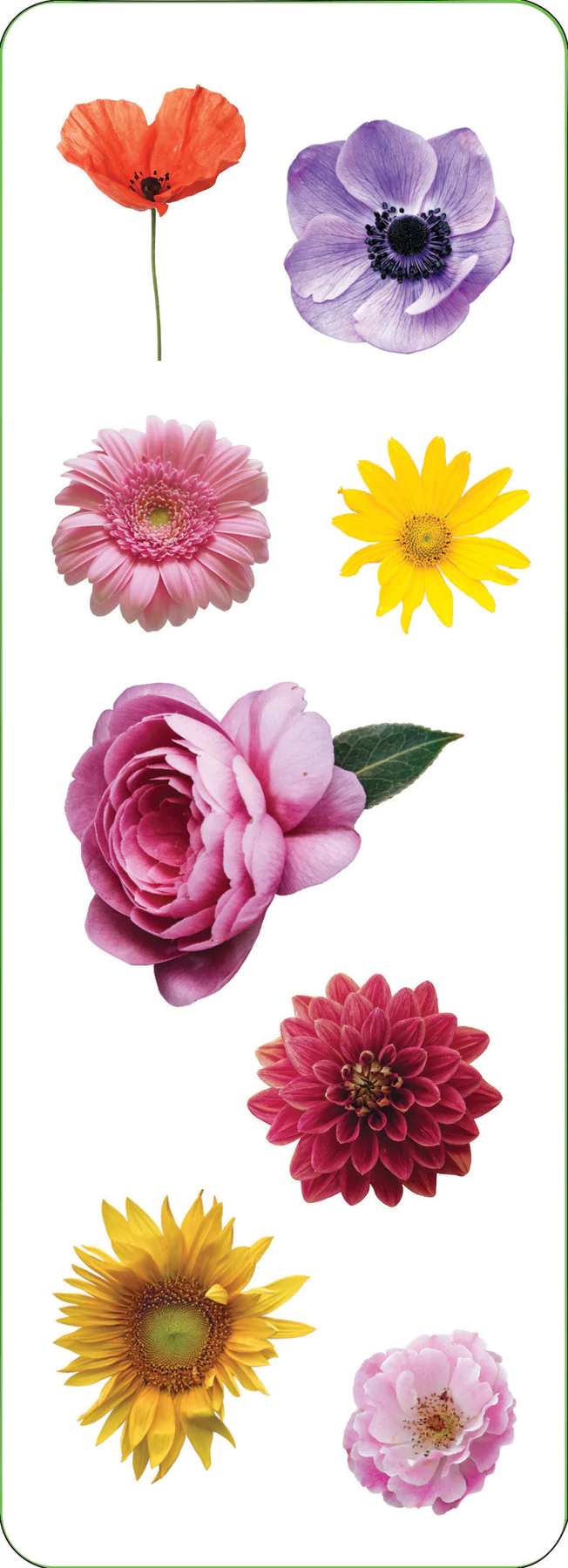 Sticker Set Flowers - 2