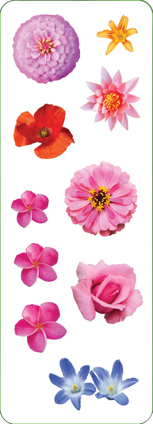 Sticker Set Flowers - 5