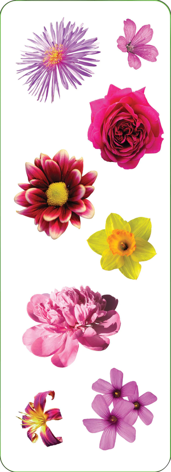 Sticker Set Flowers - 3