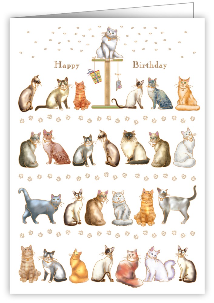 Cats, Greeting Card