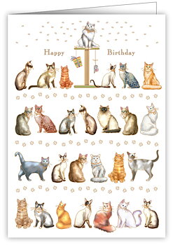 Cats, Greeting Card
