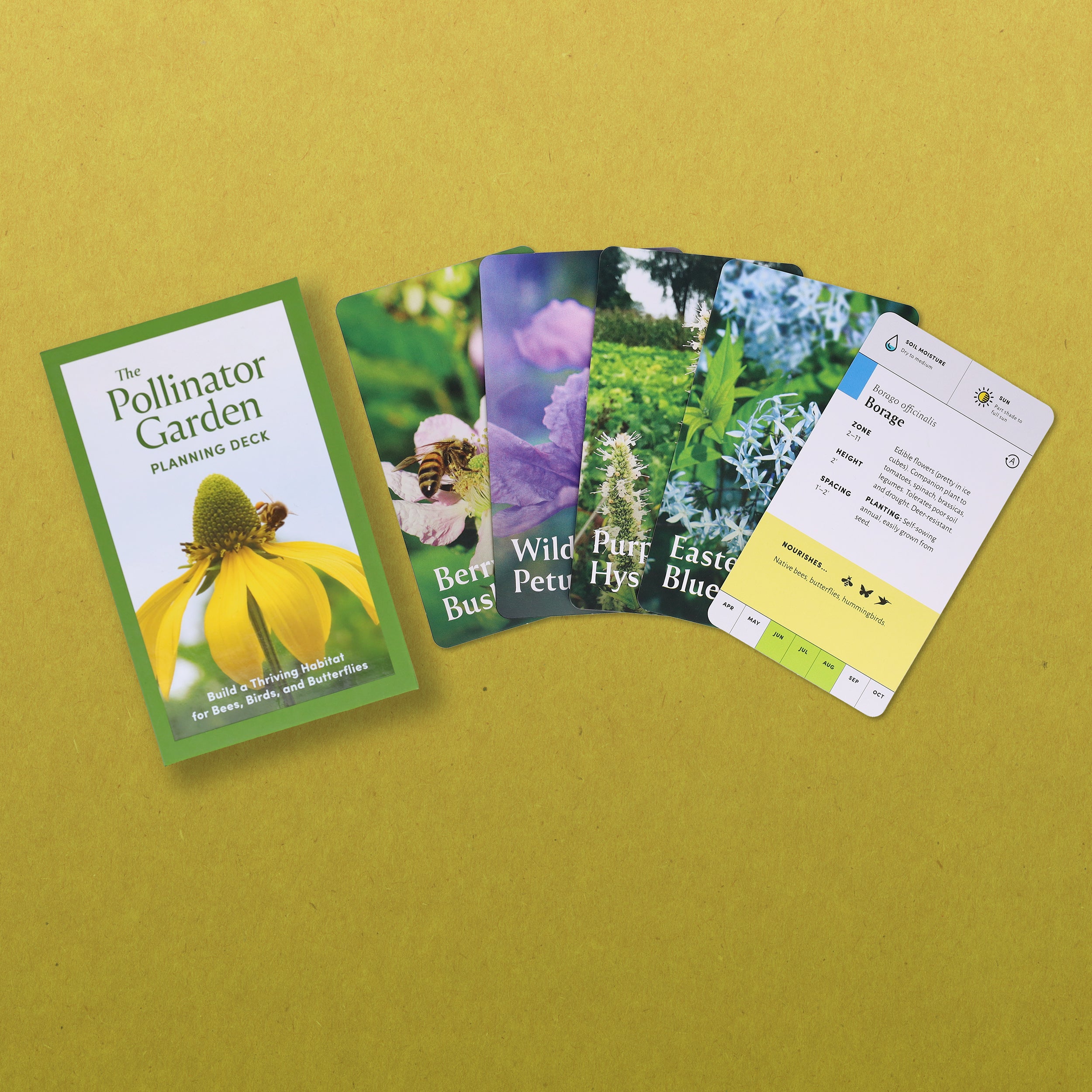 Pollinator Garden Planning Deck - 3