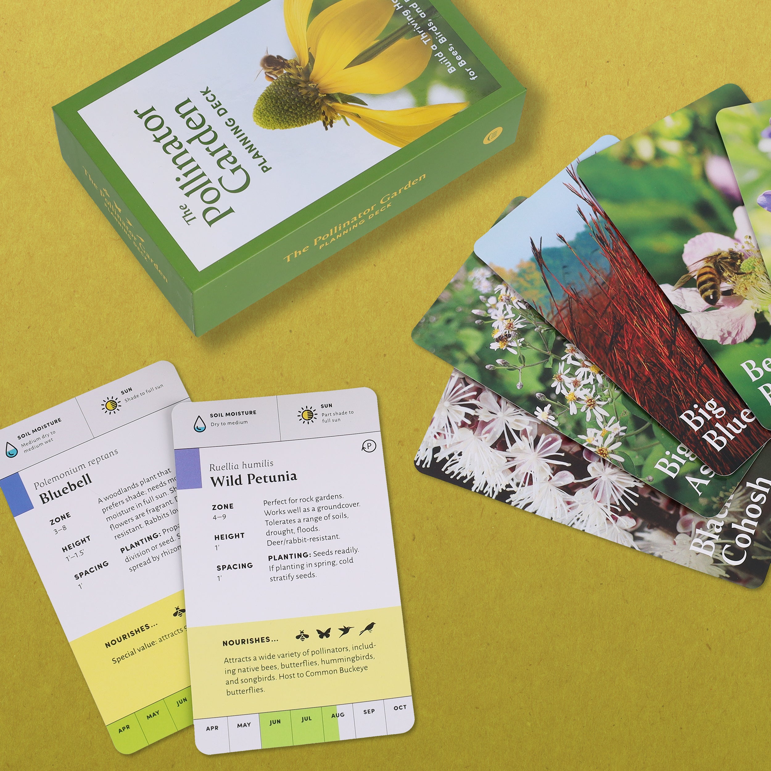Pollinator Garden Planning Deck - 6