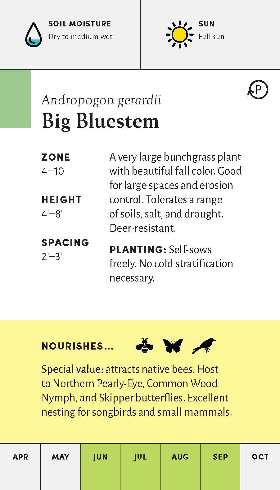 Pollinator Garden Planning Deck - 12