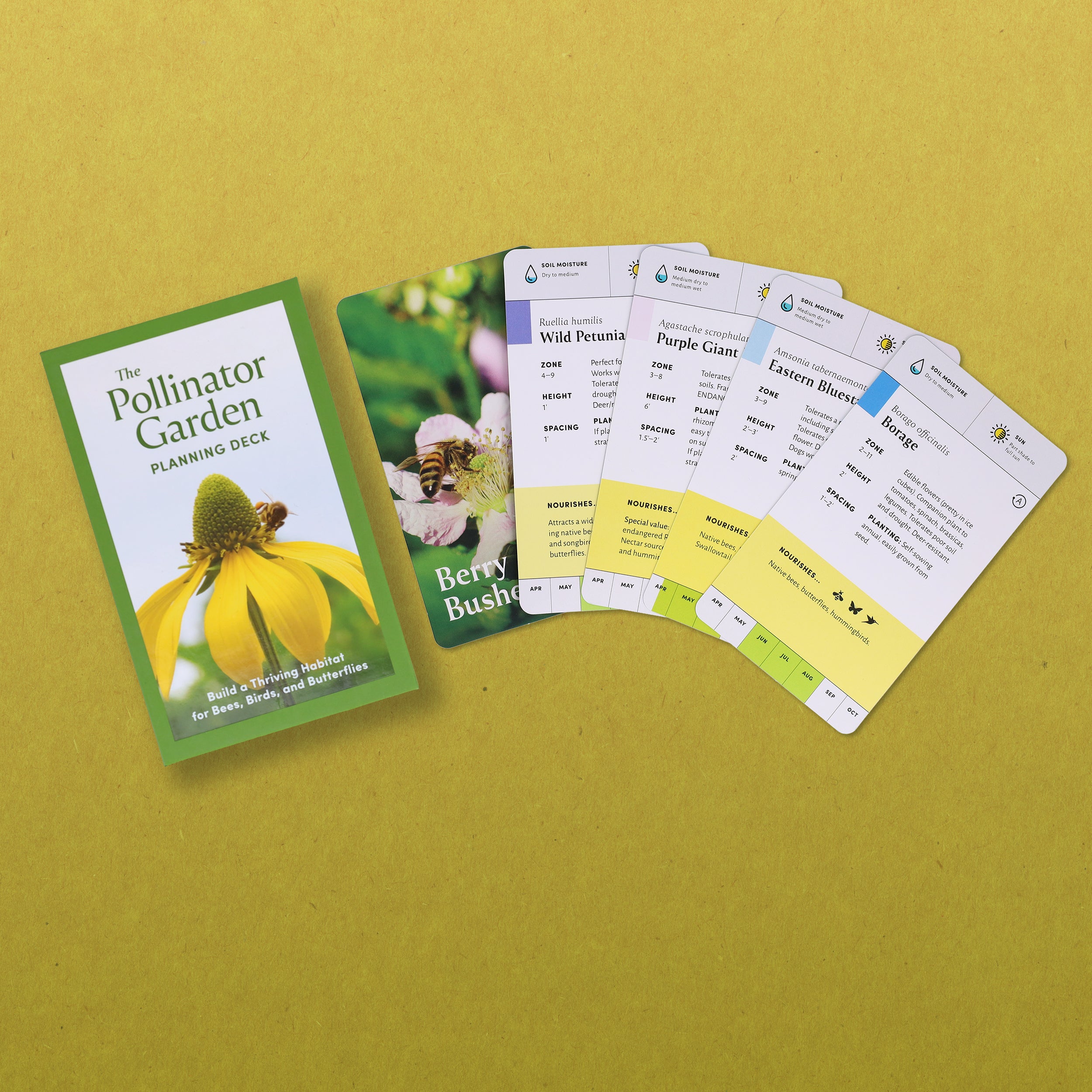 Pollinator Garden Planning Deck - 2