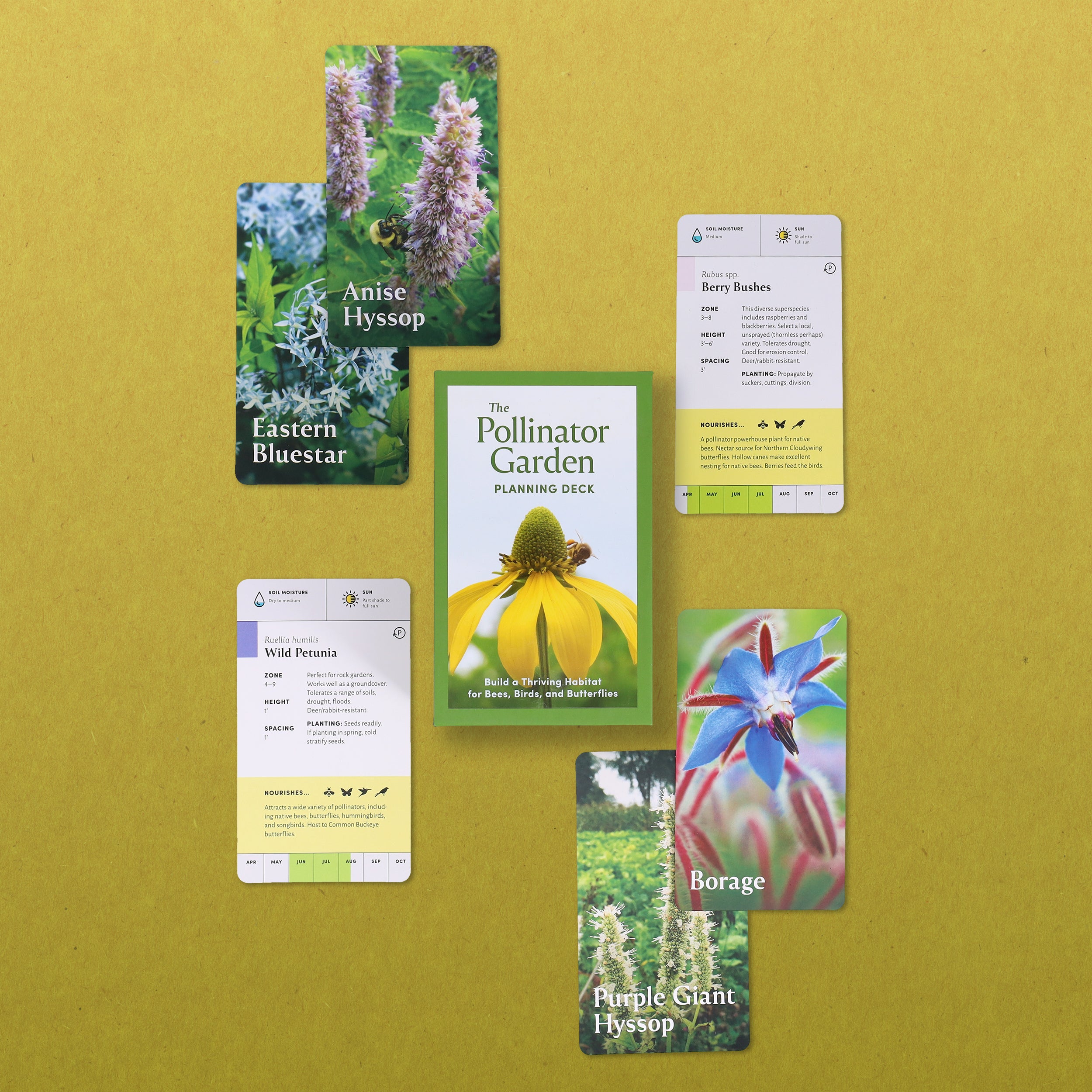 Pollinator Garden Planning Deck - 4