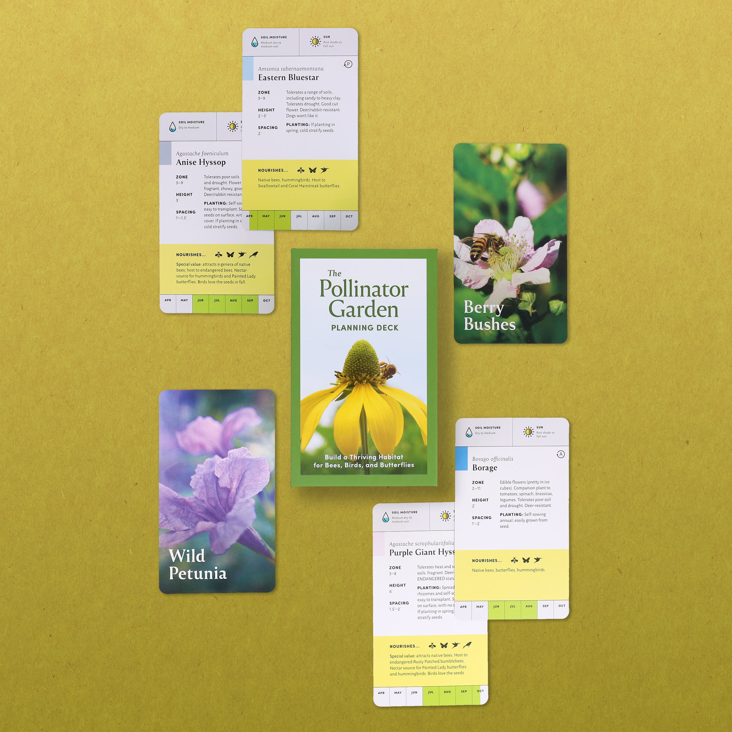 Pollinator Garden Planning Deck - 5