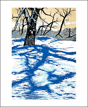 NC T.Haberkorn/Winter Shadow