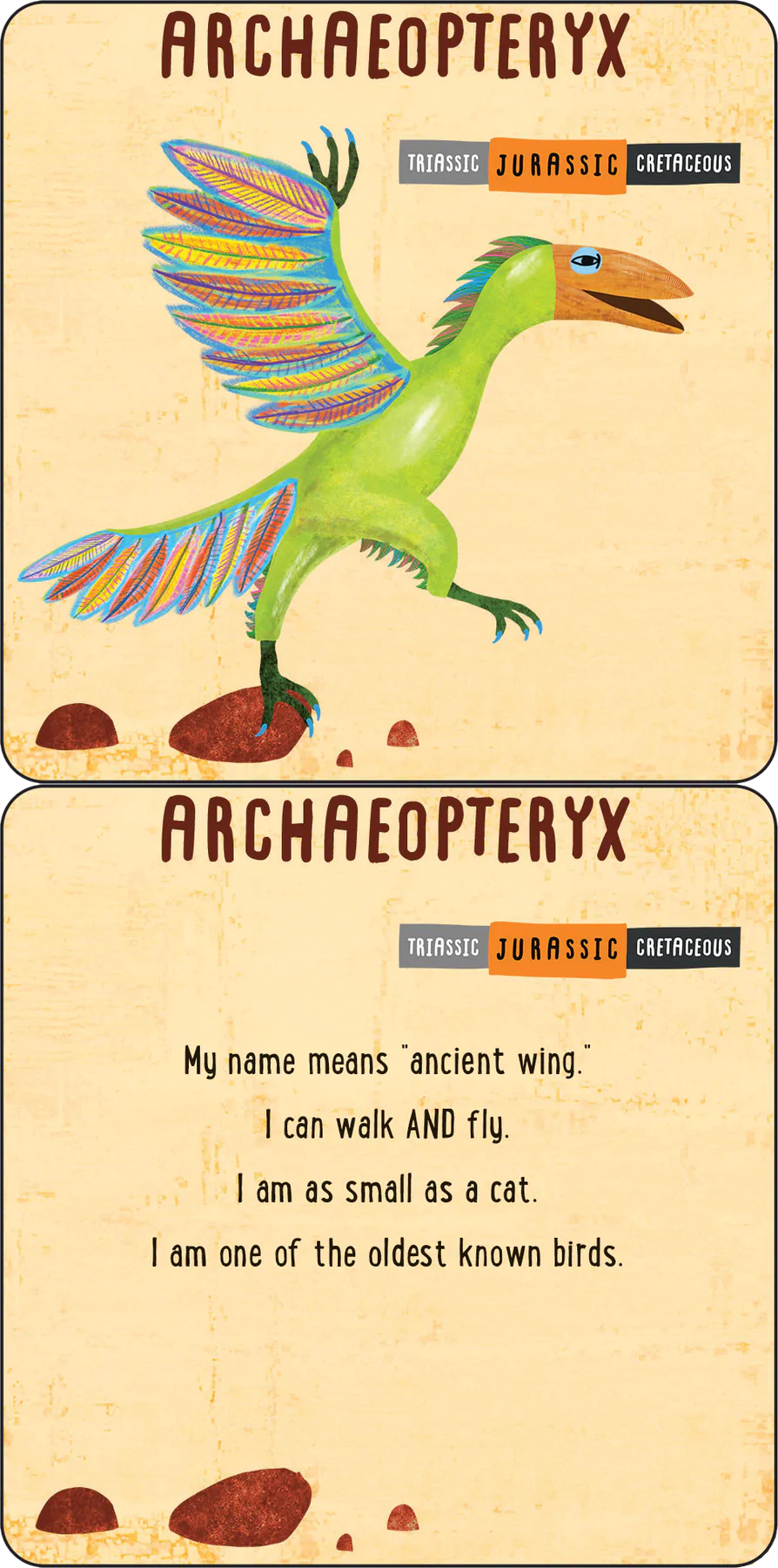 Lunch Box Dinosaurs - 6