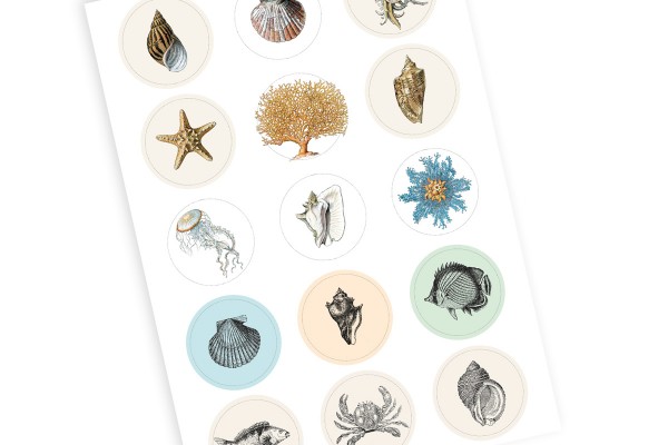 Natural History, Labels Sticker & Tapes - 3
