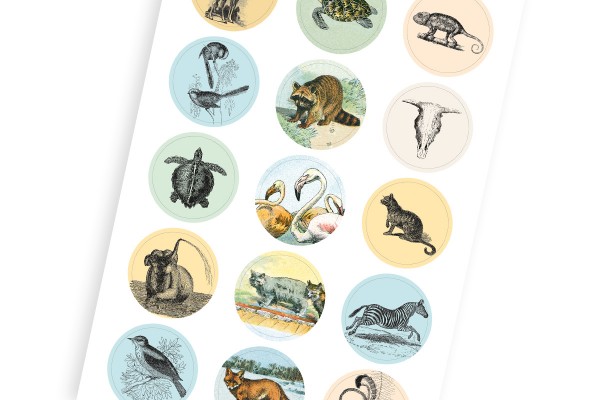 Natural History, Labels Sticker & Tapes - 2