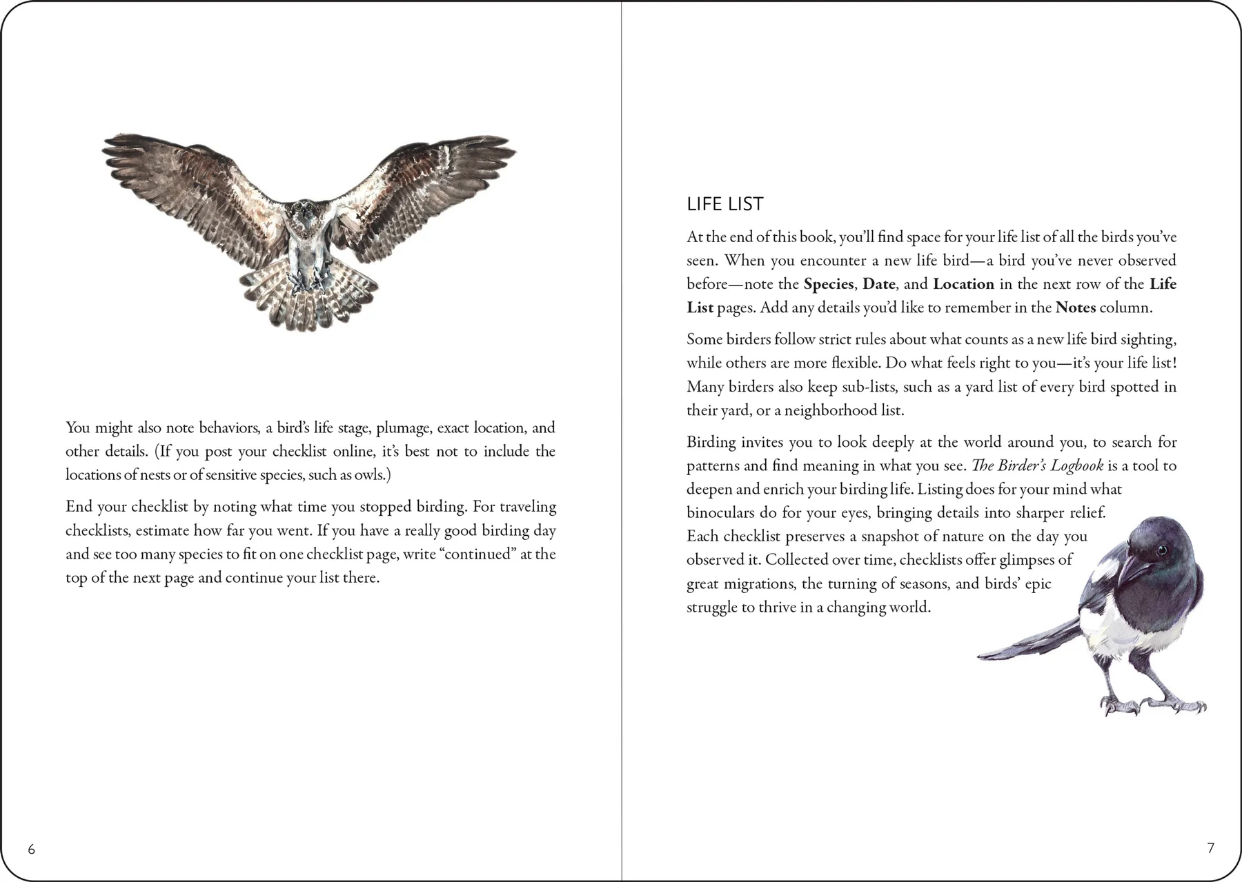 The Birder's Logbook - 3