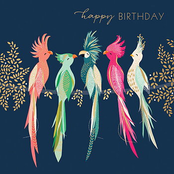 Cockatoos , Everyday Single Card