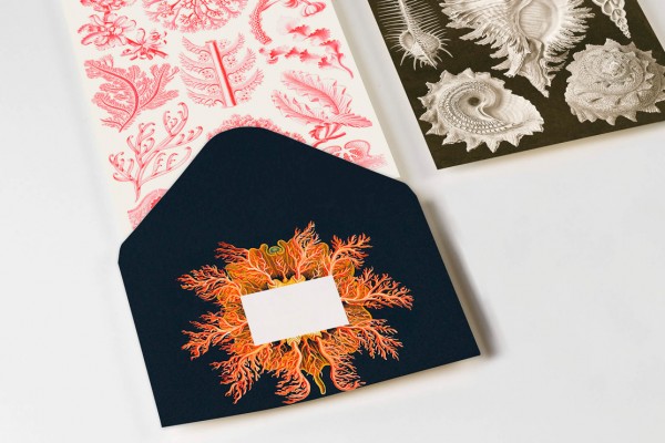 Maritime Art Forms, C6 Envelopes - 2