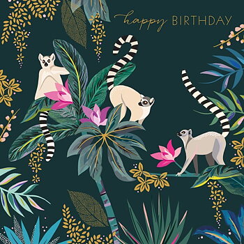 Lemurs Jungle, Everyday Single Card