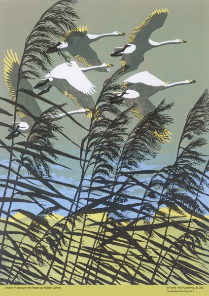 Robert Gillmor: Swans Flying over the Reeds (500 pieces) Puzzle - 2
