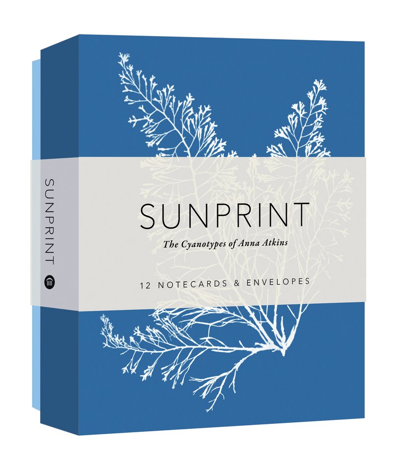 Sunprint Notecard Box