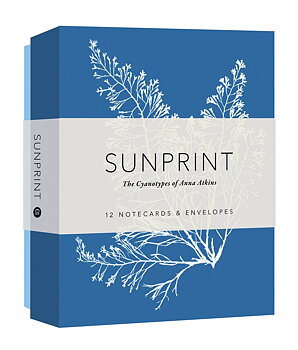 Sunprint Notecard Box