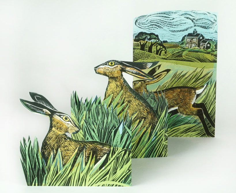 Hares and Open Fields
