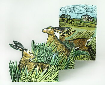 Hares and Open Fields