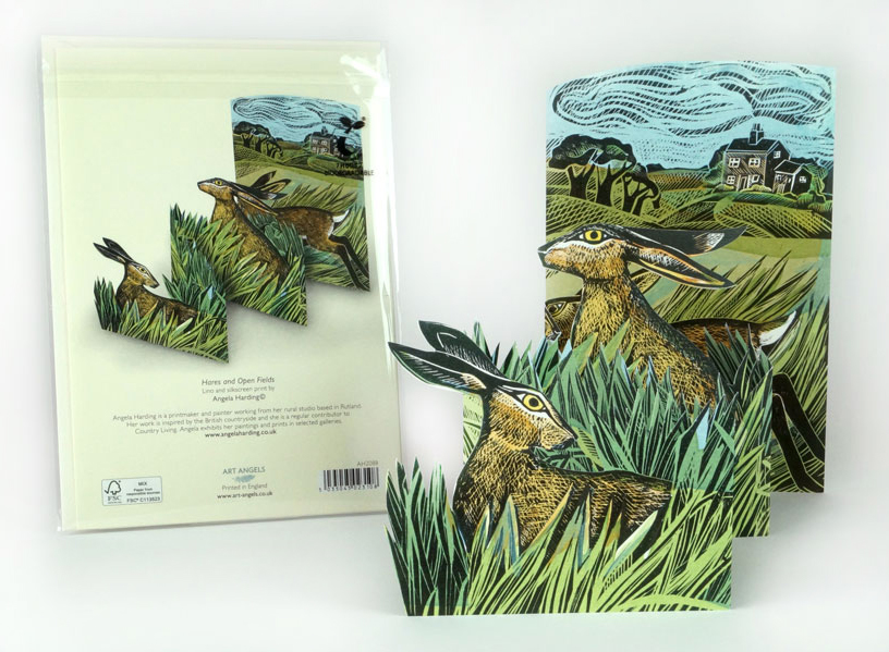 Hares and Open Fields - 3