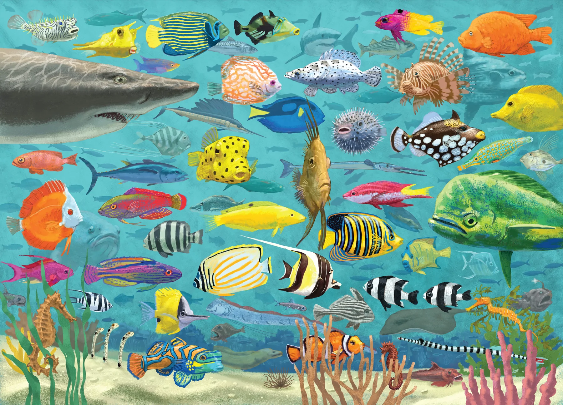 Puzzle All The Fish - 2