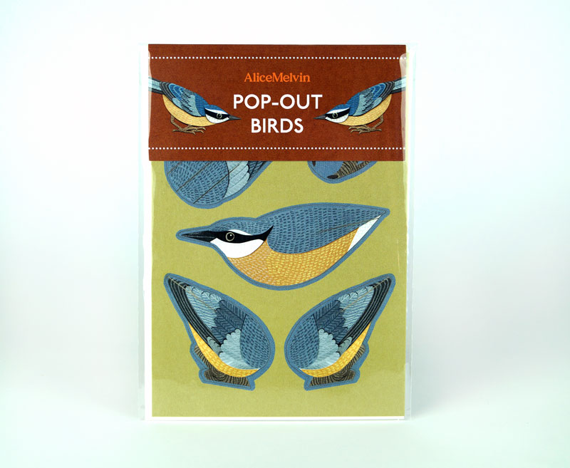 Pop-Out Nuthatch - 2