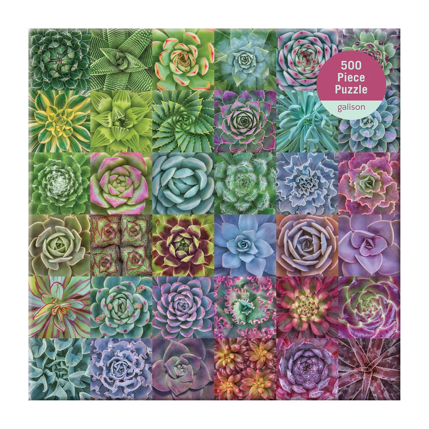 Succulent Spectrum, 500 piece family puzzle - 2