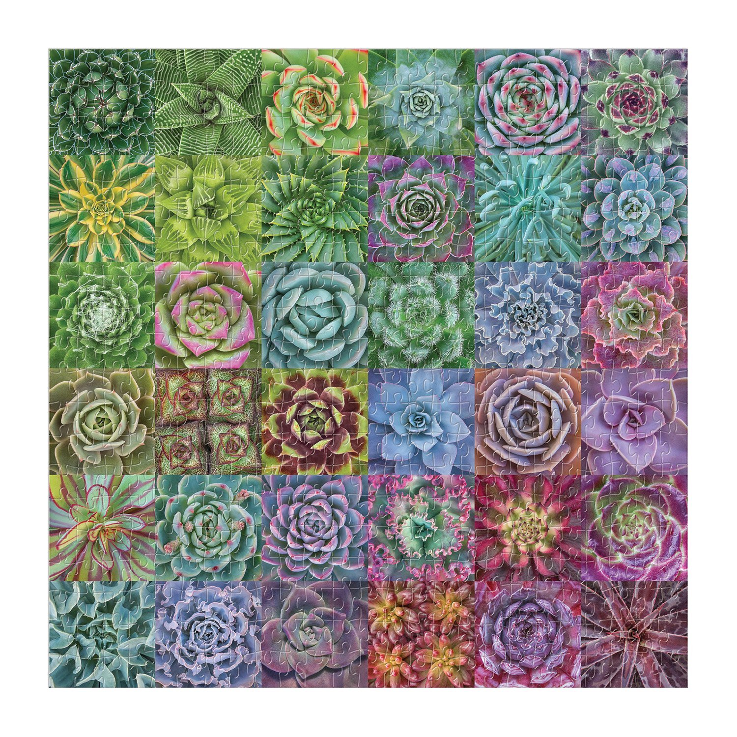 Succulent Spectrum, 500 piece family puzzle - 3