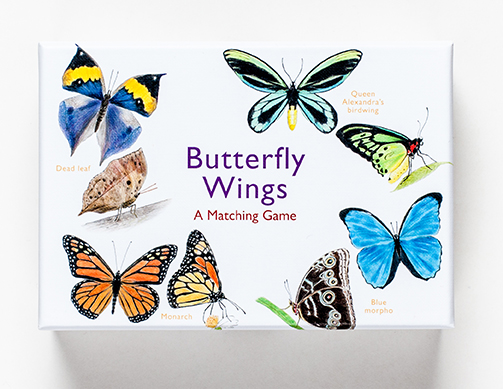 Butterfly Wings, A Matching Game