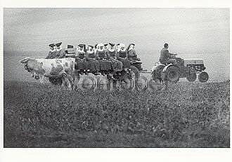 Return of the Benedictinians from Harvesting (1965), Postcard