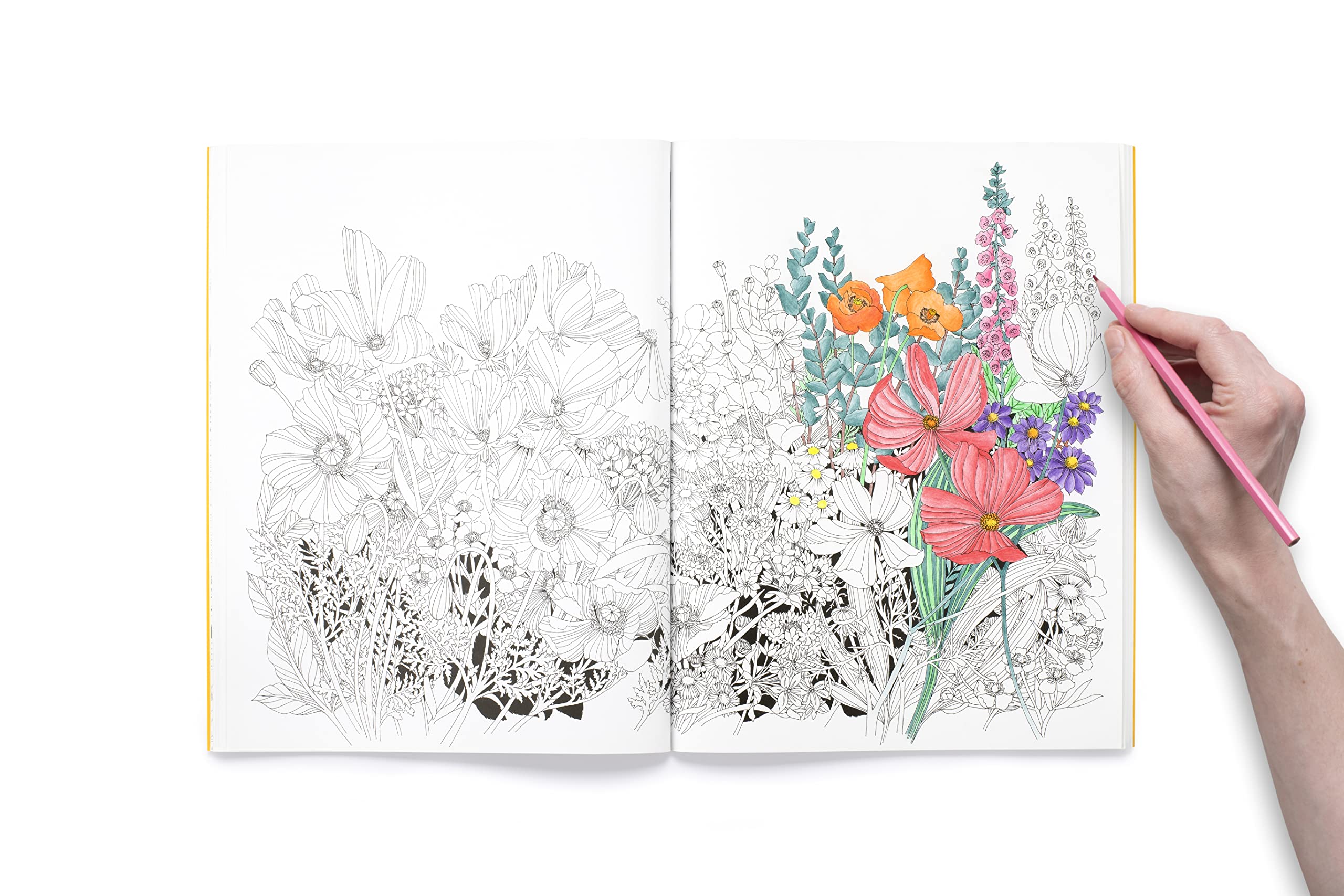 Leila Duly's Beautiful Planet: An Intricate Colouring Book - 5