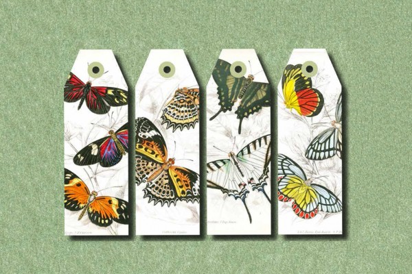Natural History, Paper Craft Book - 4