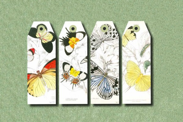 Natural History, Paper Craft Book - 3