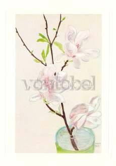 Magnolia Spray (1939), Greeting Card