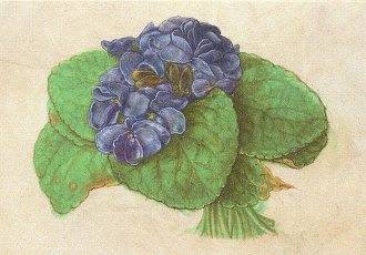 Violets (1505), Greeting Card