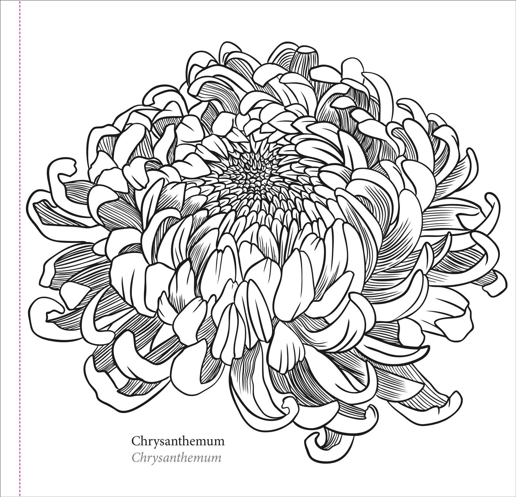 Spring Blooms Artist's Coloring Book - 3
