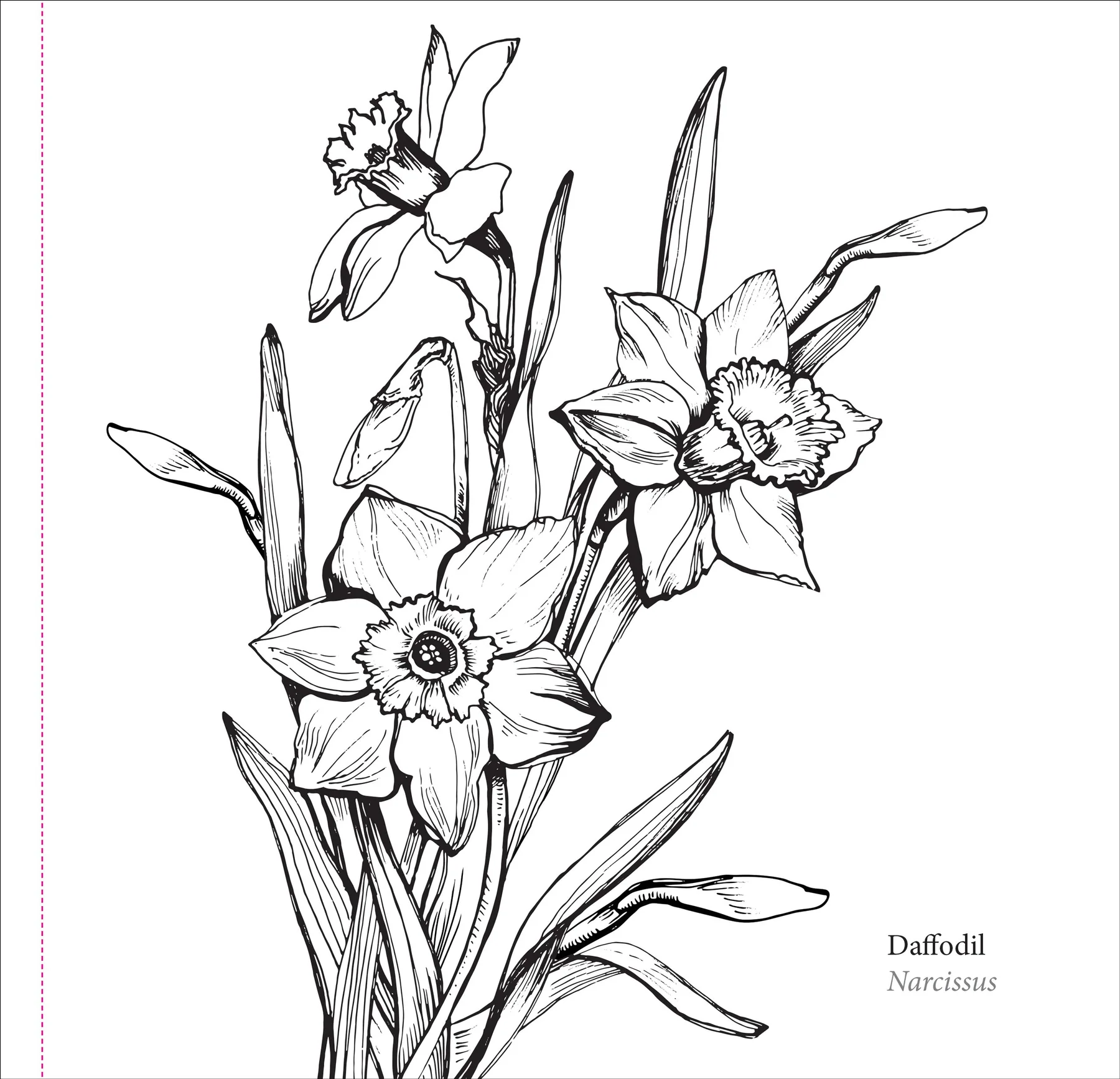 Spring Blooms Artist's Coloring Book - 2