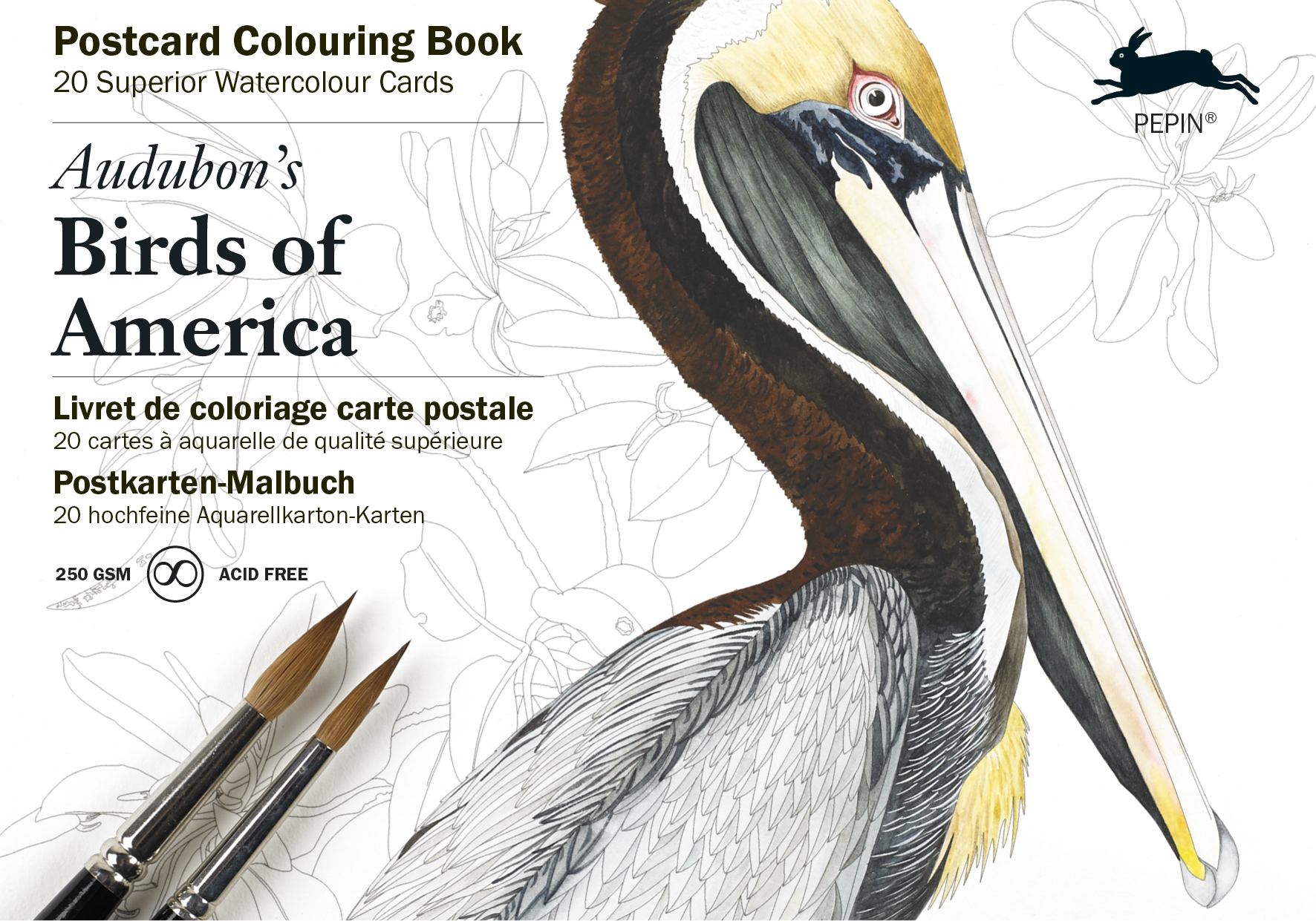 Audobon's Birds, Postcard Colouring Book