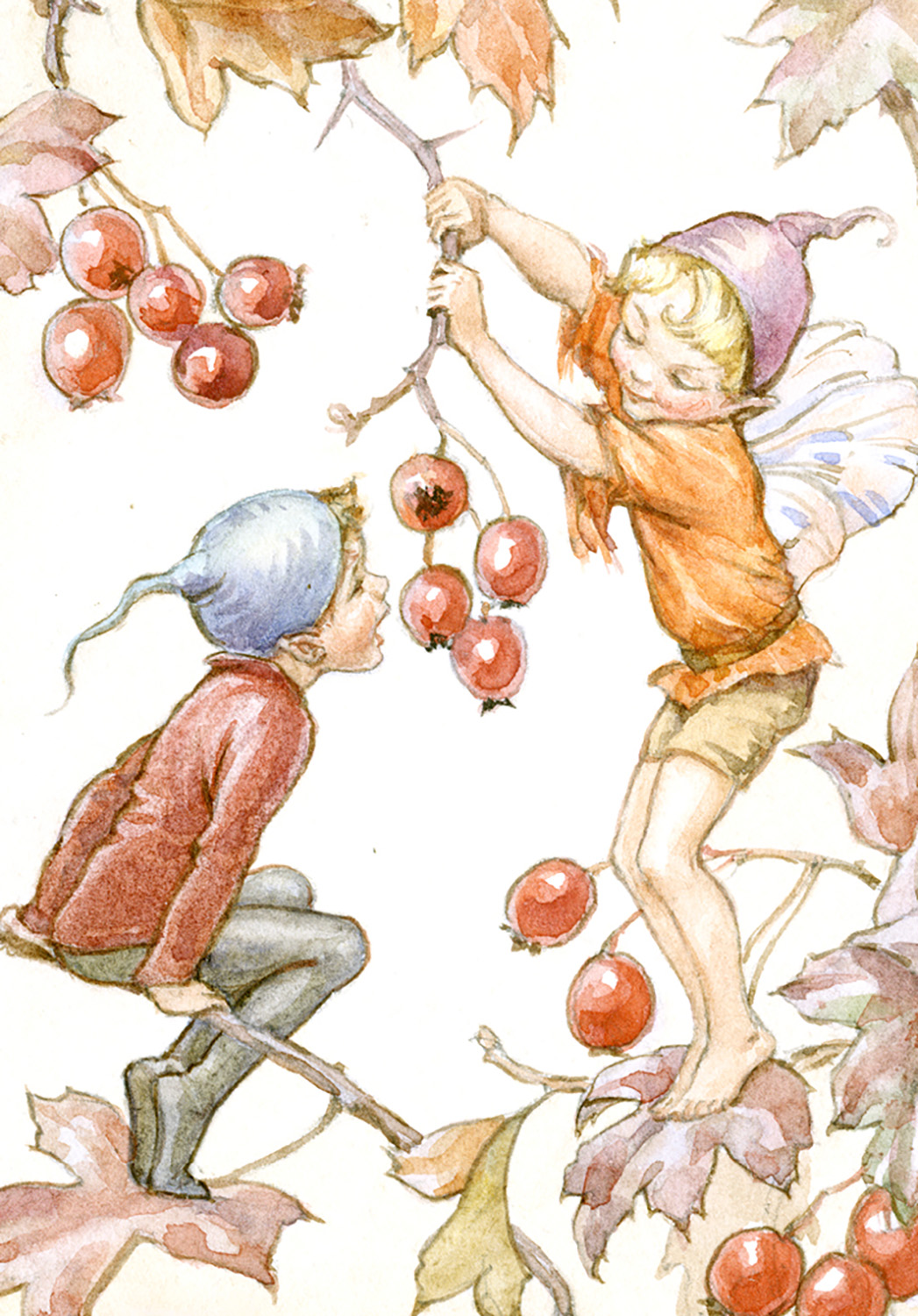 Fairy Land rosehips, Minicard