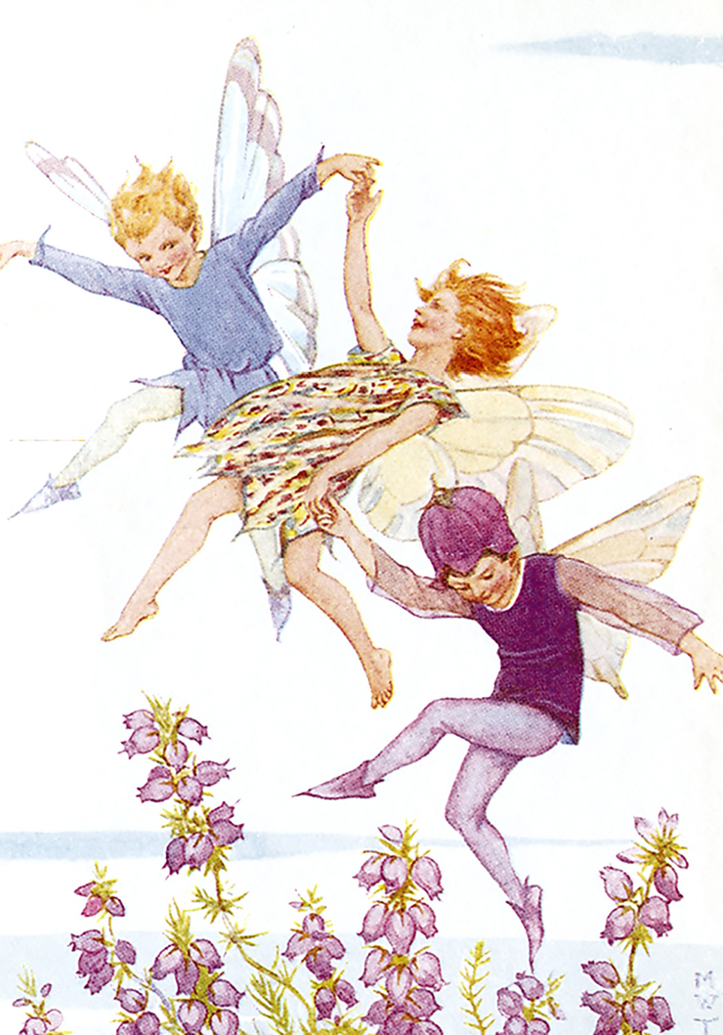 Fairy Land lavender, Minicard