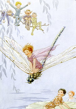 Fairy Land dragonfly, Minicard