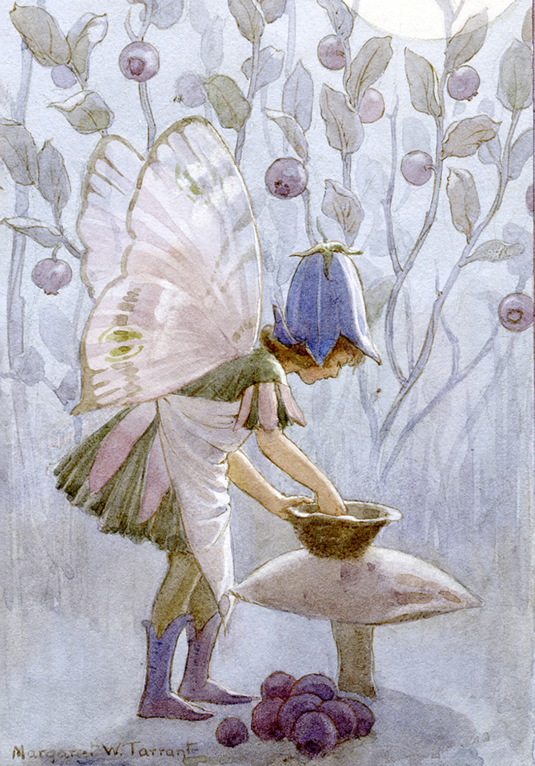 Fairy Land blueberries, Minicard